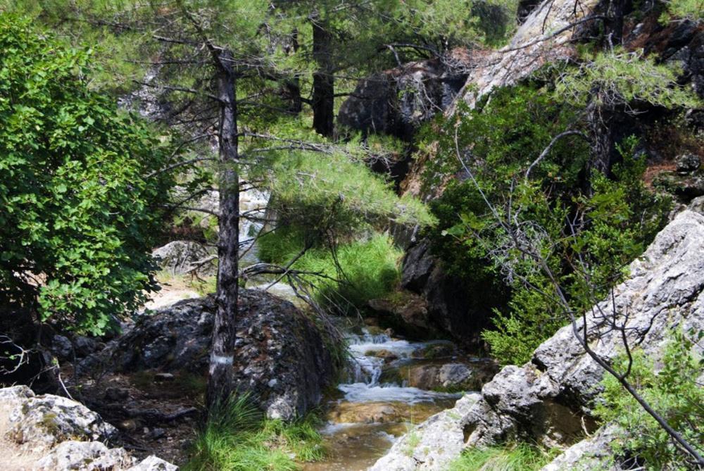 Holiday home Cortijo El Chorreadero En Parque Natural Sierra De Cazorla Los Rosales (Jaen)